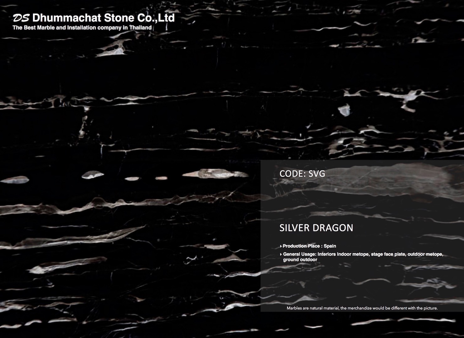 Silver Dragon-image